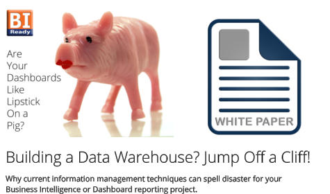 Building a Data Warehouse? Jump Off a Cliff! Why current information management techniques can spell disaster for yourBusiness Intelligence or Dashboard reporting project.