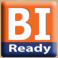 BIReady logo